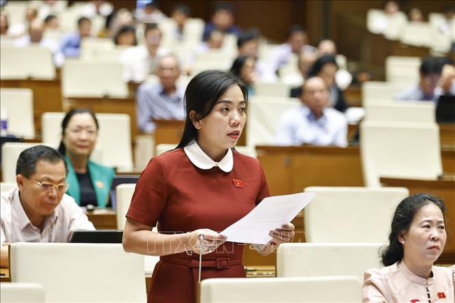 Đại biểu Quốc hội tỉnh Sóc Trăng Triệu Thị Ngọc Diễm đặt câu hỏi chất vấn. Ảnh: Doãn Tấn - TTXVN