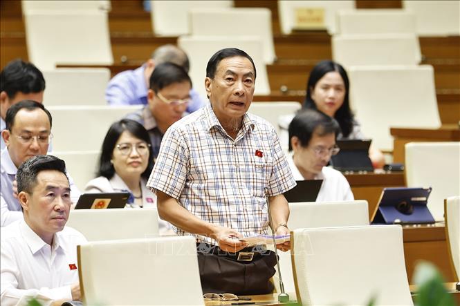 Đại biểu Quốc hội tỉnh Đồng Tháp Phạm Văn Hòa đặt câu hỏi chất vấn. Ảnh: Doãn Tấn - TTXVN