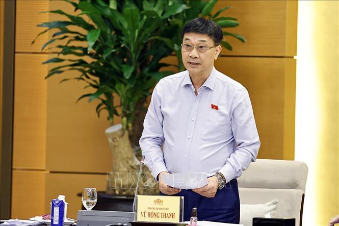 Phó Chủ tịch Quốc hội Vũ Hồng Thanh phát biểu. Ảnh: Doãn Tấn - TTXVN
