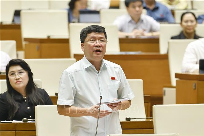 Đại biểu Quốc hội tỉnh Quảng Nam Tạ Văn Hạ đặt câu hỏi chất vấn. Ảnh: Doãn Tấn - TTXVN