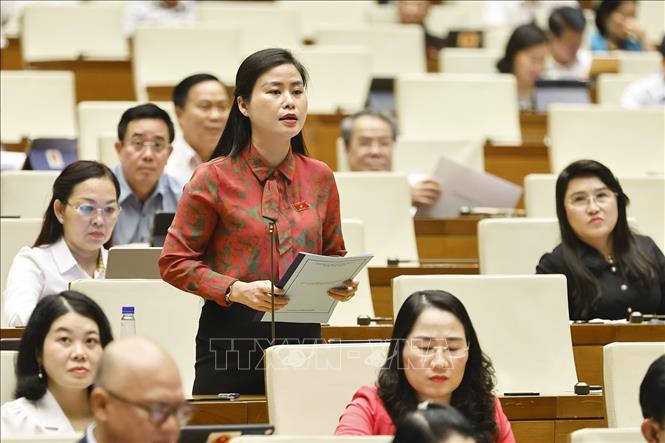 Đại biểu Quốc hội tỉnh Quảng Nam Đặng Thị Bảo Trinh đặt câu hỏi chất vấn. Ảnh: Doãn Tấn - TTXVN