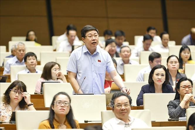 Đại biểu Quốc hội tỉnh Ninh Bình Mai Khanh đặt câu hỏi chất vấn. Ảnh: Doãn Tấn - TTXVN