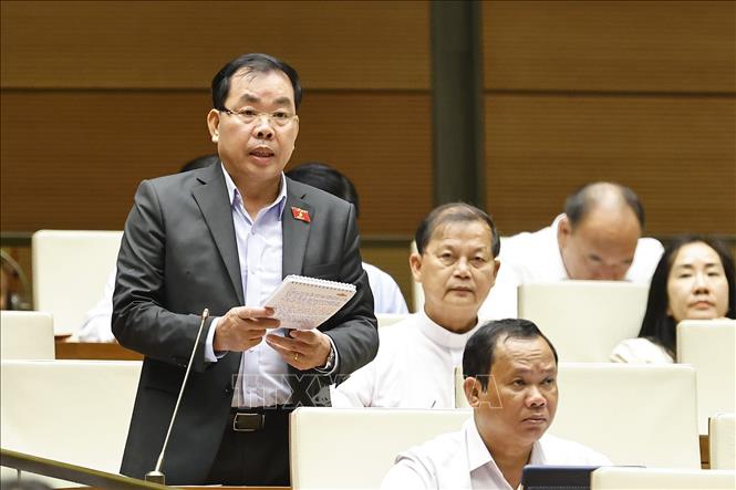 Đại biểu Quốc hội tỉnh Bình Dương Nguyễn Quang Huân đặt câu hỏi chất vấn. Ảnh: Doãn Tấn - TTXVN