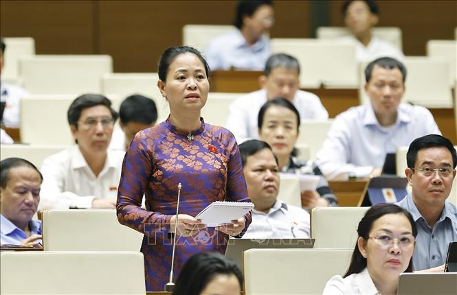 Đại biểu Quốc hội tỉnh Thái Bình Nguyễn Thị Thu Dung đặt câu hỏi chất vấn. Ảnh: Doãn Tấn - TTXVN