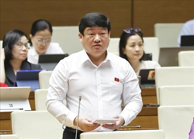 Đại biểu Quốc hội tỉnh Quang Ngãi Lương Văn Hùng đặt câu hỏi chất vấn. Ảnh: Doãn Tấn - TTXVN