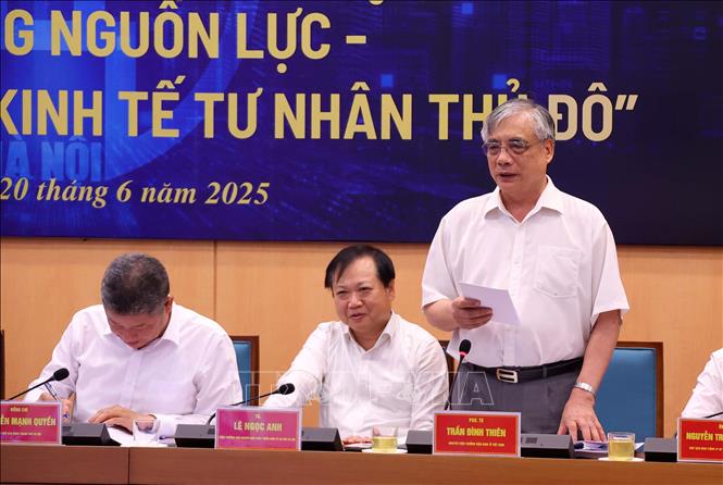 PGS.TS Trần Đình Thiên, nguyên Viện trưởng Viện Kinh tế phát biểu. Ảnh: Văn Điệp - TTXVN