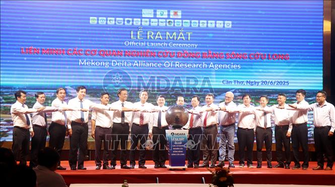 Các thành viên Liên minh các cơ quan nghiên cứu Đồng bằng sông Cửu Long nhấn nút ra mắt. Ảnh: Thu Hiền - TTXVN