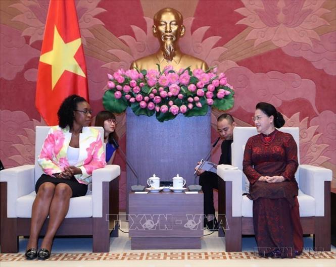Chủ tịch Quốc hội Nguyễn Thị Kim Ngân tiếp bà Beatriz Buchili, Tổng Chưởng lý Cộng hòa Mozambique trong chuyến thăm và làm việc tại Việt Nam (Hà Nội, 21/8/2017). Ảnh: Trọng Đức - TTXVN