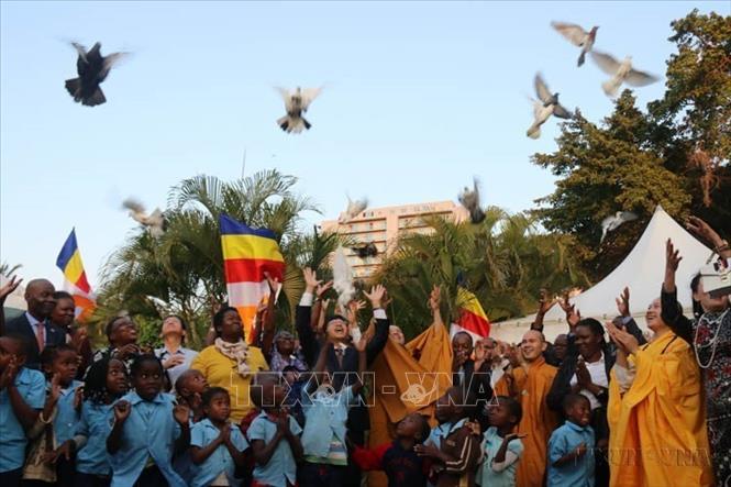 Thả chim bồ câu phóng sinh tại Lễ Phật đản 2019 ở Mozambique do Hội Phật giáo Việt Nam phối hợp với Đại sứ quán Việt Nam tại Mozambique tổ chức (Maputo, 29/5/2019). Ảnh: Đình Lượng – TTXVN