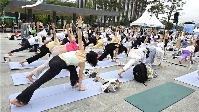 Tại Quảng trường Gwanghwamun ở trung tâm Seoul, với khẩu hiệu “Tìm kiếm hào quang của bạn”, hơn 1.000 người tham gia đã tập trung ngoài trời để thực hành Surya Namaskar - một chuỗi động tác yoga gồm 12 tư thế - cũng như Hatha và Vinyasa yoga, hai phong cách phổ biến. Ảnh: Đức Thắng - P/v TTXVN tại Hàn Quốc