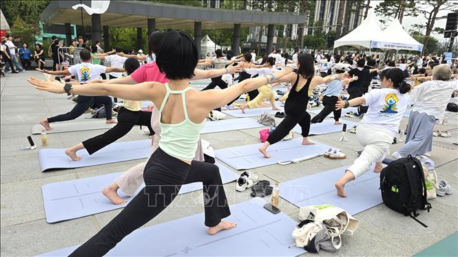 Tại Quảng trường Gwanghwamun ở trung tâm Seoul, với khẩu hiệu “Tìm kiếm hào quang của bạn”, hơn 1.000 người tham gia đã tập trung ngoài trời để thực hành Surya Namaskar - một chuỗi động tác yoga gồm 12 tư thế - cũng như Hatha và Vinyasa yoga, hai phong cách phổ biến. Ảnh: Đức Thắng - P/v TTXVN tại Hàn Quốc