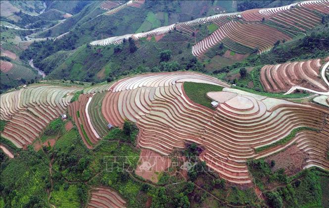 Terraced fields in Xim Vang commune, Bac Yen district, Son La province. VNA Photo: Quang Quyết