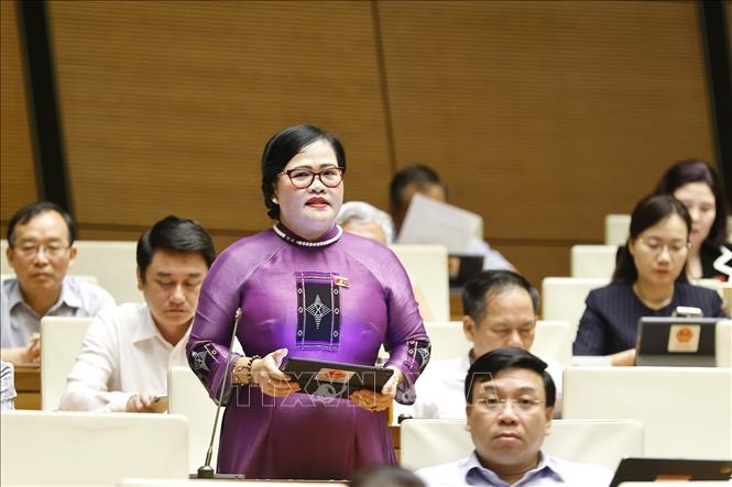 Đại biểu Quốc hội TP Huế Nguyễn Thị Sửu phát biểu. Ảnh: Doãn Tấn - TTXVN