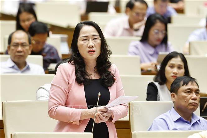 Đại biểu Quốc hội tỉnh Bắc Kạn Nguyễn Thị Thủy phát biểu. Ảnh: Doãn Tấn - TTXVN