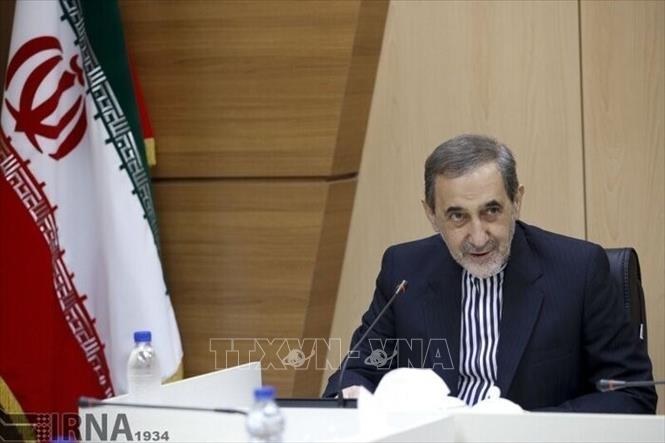 Ông Ali Akbar Velayati - cố vấn hàng đầu của lãnh tụ tối cao Iran Ayatollah Ali Khamenei. Ảnh: IRNA/TTXVN