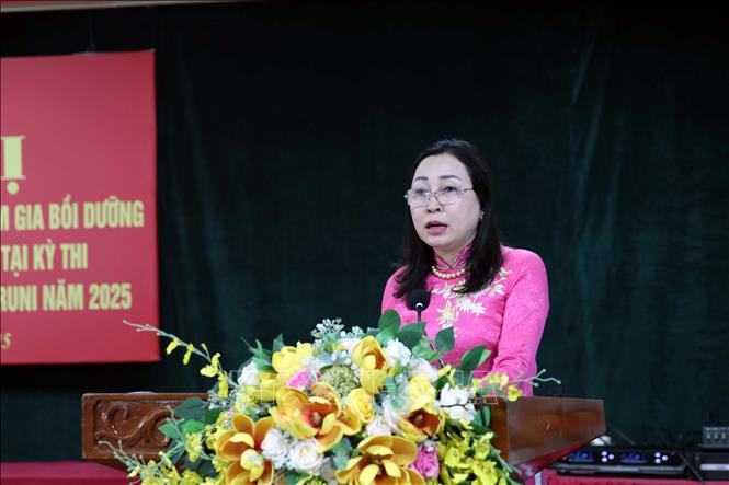 Phó Bí thư Thường trực Tỉnh ủy Hà Nam Đinh Thị Lụa phát biểu tại hội nghị. Ảnh: Đại Nghĩa - TTXVN