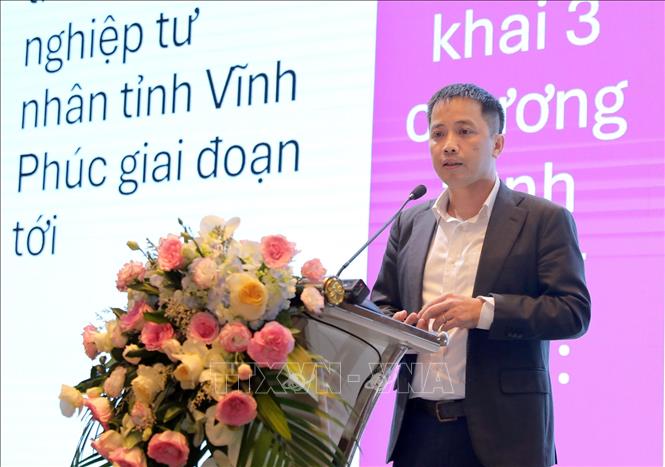 Phó Chủ tịch VCCI Đậu Anh Tuấn phát biểu tại buổi tọa đàm. Ảnh: Hoàng Hùng -TTXVN