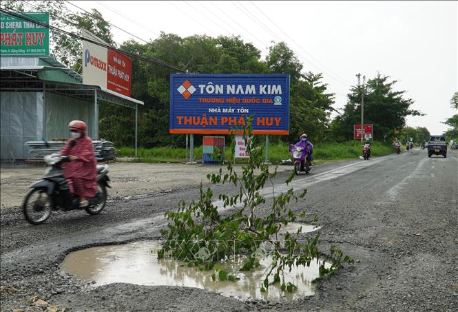 Người dân địa phương cắm cây ở những cái hố sâu trên Quốc lộ 61 để cảnh báo người tham gia giao thông. Ảnh: Văn Sĩ - TTXVN                                 