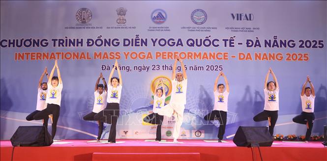 Đồng diễn Yoga tại chương trình. Ảnh: Trần Lê Lâm - TTXVN