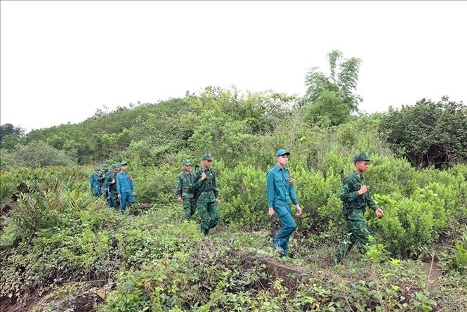 Lực lượng Bộ đội Biên phòng đồn Hải Hoà phối hợp với lực lượng dân quân phường Hải Hoà, thành phố Móng Cái (Quảng Ninh), triển khai kế hoạch đi tuần tra bảo vệ biên giới thuộc địa bàn quản lý. Ảnh: Vũ Sinh - TTXVN