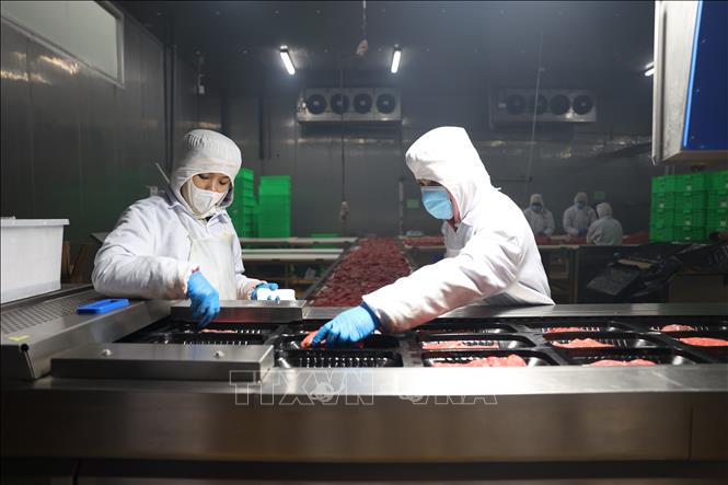 The closed-chain “farm-to-table” model of Pacow International, which has carved out a niche in Vietnam’s nascent chilled beef market. VNA Photo: Thanh Tân