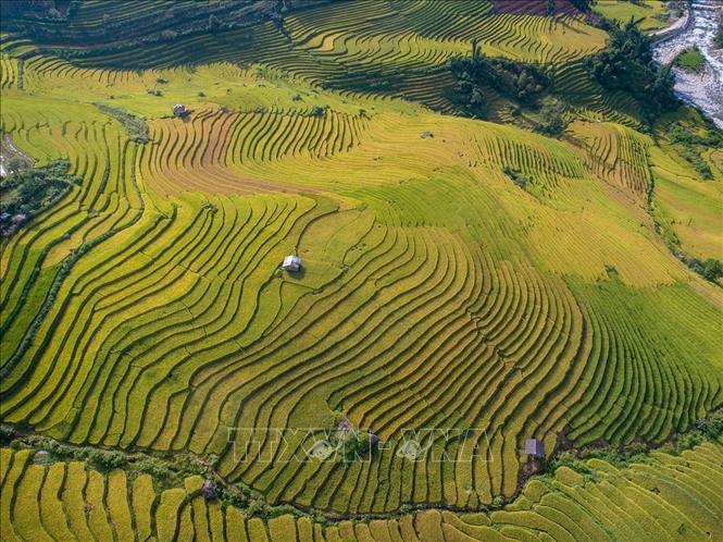 Terraced rice fields in Sa Pa, the northern province of Lao Cai. VNA Photo