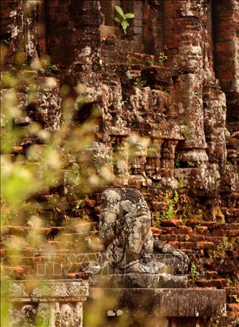 Sự kết hợp hài hòa với những mô típ chạm trổ tinh xảo trên các mảng tường gạch ngoài tháp đã tạo cho quần thể đền tháp Mỹ Sơn vẻ đẹp mỹ miều sinh động mang những nét đặc trưng nhất của các phong cách nghệ thuật Chămpa. Ảnh: Nhật Anh - TTXVN