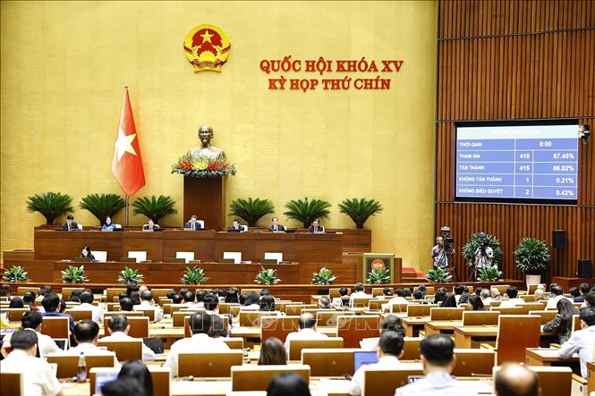 Quốc hội biểu quyết thông qua Luật sửa đổi, bổ sung một số điều của Luật Bầu cử đại biểu Quốc hội và đại biểu Hội đồng nhân dân. Ảnh: Doãn Tấn - TTXVN