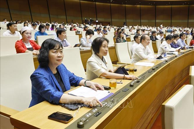 Đại biểu Quốc hội ấn nút thông qua các luật và nghị quyết. Ảnh: Doãn Tấn - TTXVN