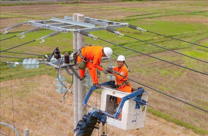 EVNCPC tăng cường kiểm tra định kỳ đường dây. Ảnh: TTXVN phát
