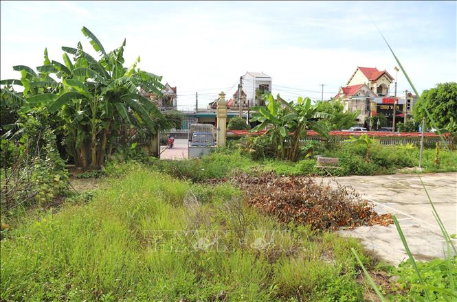 Lối đi dẫn từ cổng của Di chỉ khảo cổ học Quỳnh Văn lên khu vực Cồn Sò Điệp đã bị cỏ, cây dại phủ kín. Ảnh: Xuân Tiến - TTXVN 