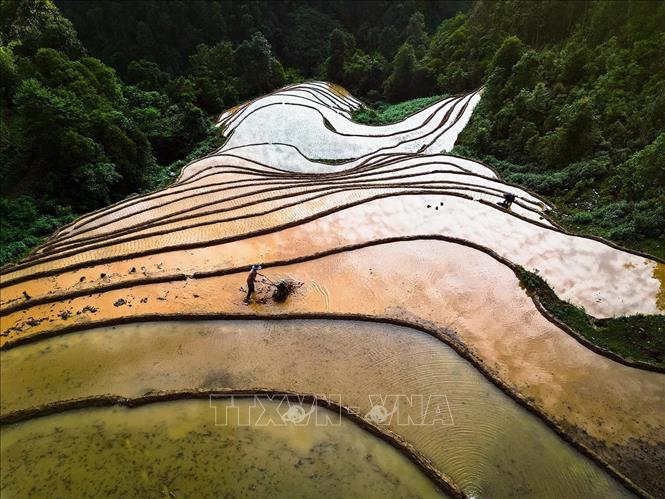 Mu Cang Chai rice fields during water pouring season resemble reflective mirrors that capture the beautiful colour of clouds, sky and sun. VNA Photo: Khánh Hoà