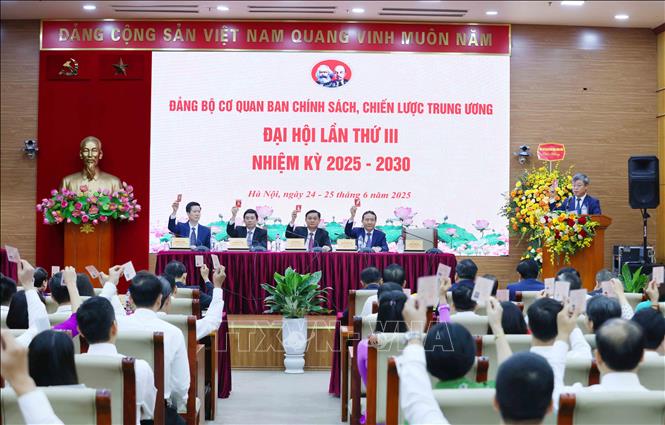 Đại hội biểu quyết thông qua báo cáo tình hình đảng viên dự Đại hội. Ảnh: Phương Hoa - TTXVN