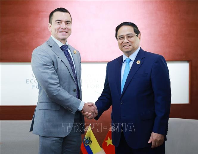 Prime Minister Pham Minh Chinh meets President of Ecuador Daniel Noboa. VNA Photo: Dương Giang
