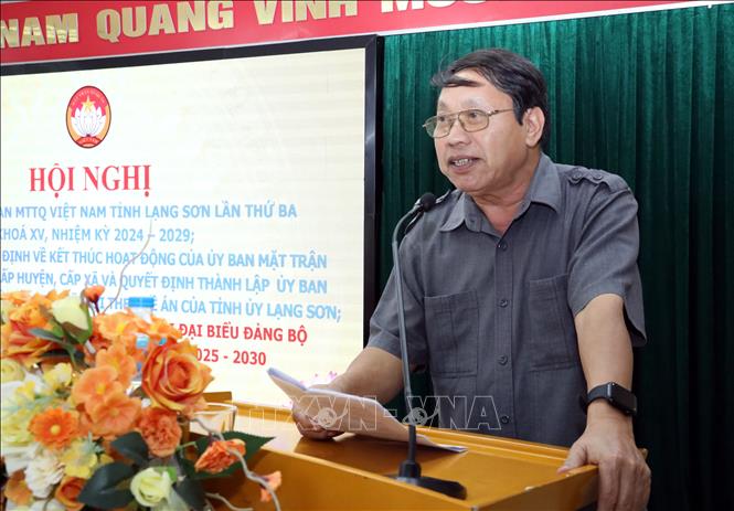 Chủ tịch Liên hiệp các Hội Khoa học kỹ thuật tỉnh Lạng Sơn, Chủ nhiệm Hội đồng tư vấn Văn hóa xã hội, Ủy ban MTTQ Việt Nam tỉnh Lạng Sơn Hoàng Văn Páo phát biểu tại hội nghị. Ảnh: Văn Đạt - TTXVN