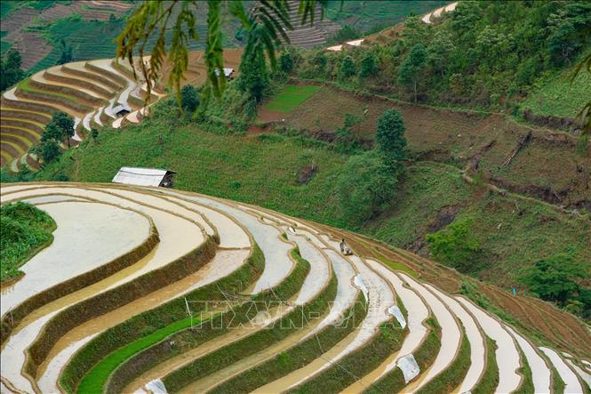 Những thửa ruộng bậc thang mùa nước đổ ở xã Kim Nọi, huyện Mù Cang Chải mang vẻ đẹp đặc trưng của những “dải lụa” vắt ngang lưng trời. Ảnh: Tuấn Anh-TTXVN