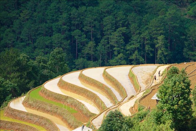 Những thửa ruộng bậc thang mùa nước đổ mang vẻ đẹp đặc trưng của những “dải lụa” vắt ngang lưng trời. Ảnh: Tuấn Anh-TTXVN