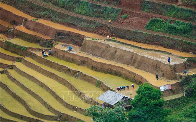 Ruộng bậc thang là sự kết hợp hoàn hảo giữa vẻ đẹp hùng vĩ của núi rừng cùng vẻ đẹp lao động sáng tạo của đồng bào Mông. Ảnh: Tuấn Anh-TTXVN
