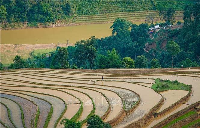 Vẻ đẹp của những thửa ruộng bậc thang mùa nước đổ tại xã Mồ Dề, huyện Mù Cang Chải, Yên Bái. Ảnh: Tuấn Anh-TTXVN