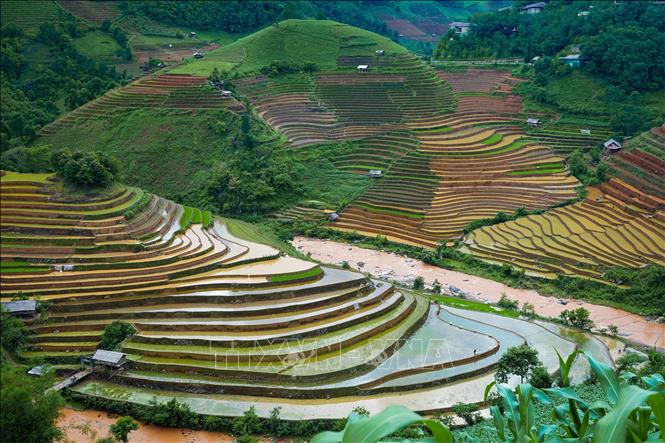 Vẻ đẹp của những thửa ruộng bậc thang mùa nước đổ tại xã Dế Xu Phình, huyện Mù Cang Chải, Yên Bái.  Ảnh: Tuấn Anh-TTXVN