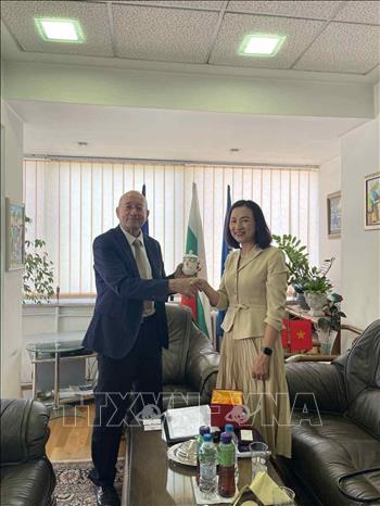 Đại sứ Việt Nam tại Bulgaria Nguyễn Thị Minh Nguyệt làm việc với ông Tsvetan Simeonov, Chủ tịch Phòng Thương mại và Công nghiệp Bulgaria (BCCI). Ảnh: TTXVN phát