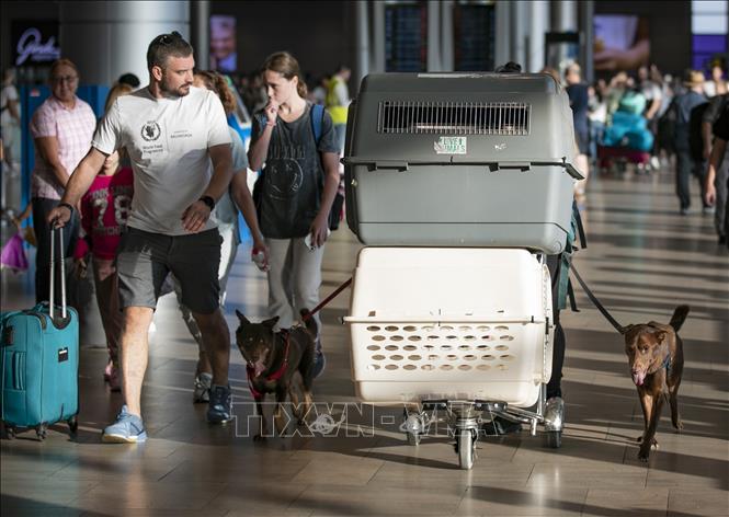 Hành khách tại sân bay quốc tế Ben Gurion, gần Tel Aviv, Israel. Ảnh: THX/TTXVN