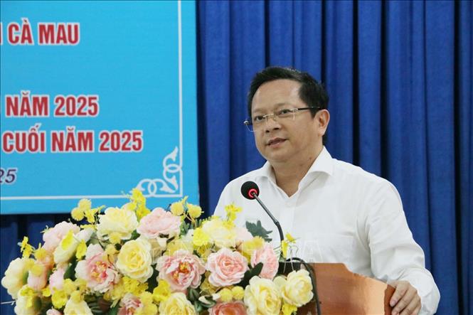 Phó Bí thư Thường trực Tỉnh ủy Cà Mau Nguyễn Đức Hiển phát biểu. Ảnh: Kim Há - TTXVN