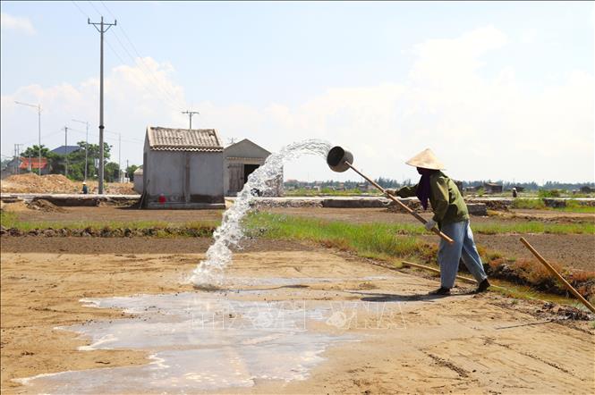 Múc nước biển tưới lên sân phơi cát để nền đất cứng hơn và thêm độ mặn trước khi rải cát ra phơi. Ảnh: Xuân Tiến-TTXVN 
