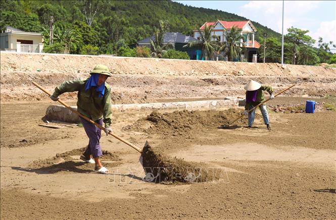Rải cát ra sân phơi để phơi nắng. Công việc này đòi hỏi sự chuyên cần, quen tay để lượng đất được rải đều trên sân phơi và không vón cục. Ảnh: Xuân Tiến-TTXVN 