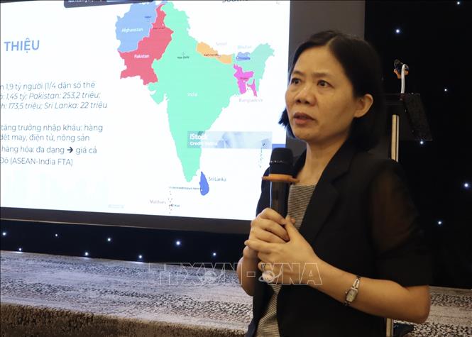 Phó Giáo sư, Tiến sĩ Trịnh Thị Thu Hường, Trường Đại học Ngoại thương đề xuất các giải pháp quản trị rủi ro cho doanh nghiệp. Ảnh: Xuân Anh -TTXVN