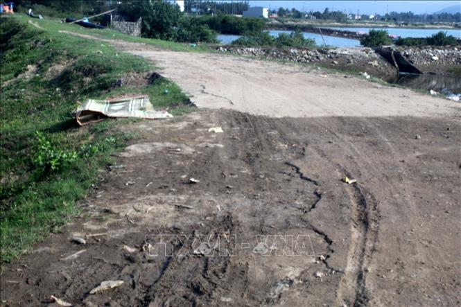 Một tuyến đê thuộc thị xã Nghi Sơn, Thanh Hóa bị xuống cấp trầm trọng. Ảnh: Nguyễn Nam-TTXVN