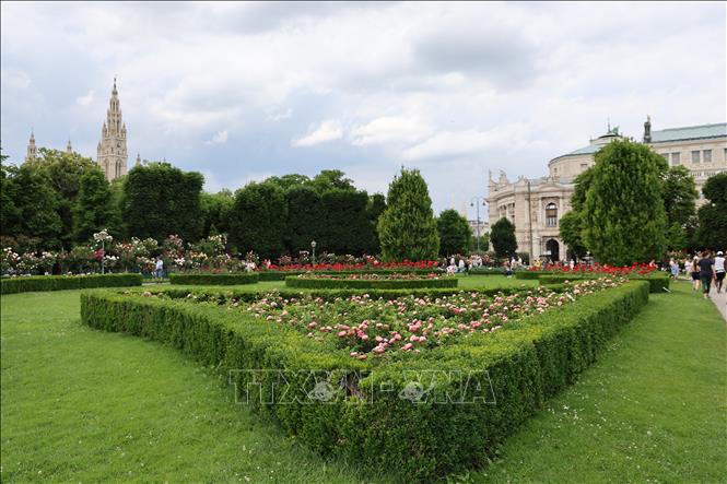 Công viên Volksgarten ở trung tâm thành phố Vienna. Ảnh: Thu Hằng - Pv TTXVN tại Áo