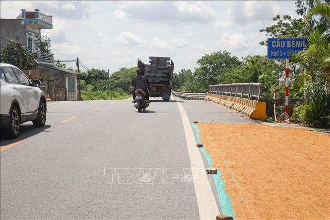 Nông dân phơi thóc trên tỉnh lộ ĐT454 (Thái Bình) khiến các phương tiện gặp khó khăn trong lưu thông. Ảnh: Vũ Quang - TTXVN