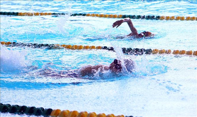 Các vận động viên nam nhóm 9 tuổi trở xuống tranh tài cự ly 50m bơi tự do. Ảnh: Trần Lê Lâm – TTXVN 